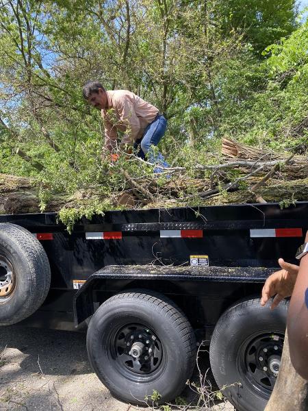 K&A Tree Service LLC