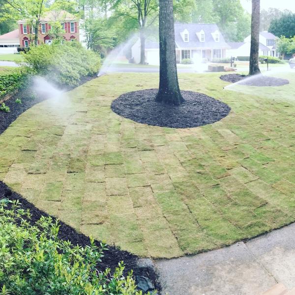 Georgia Horticulture
