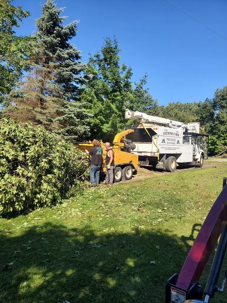 Country View Tree Service