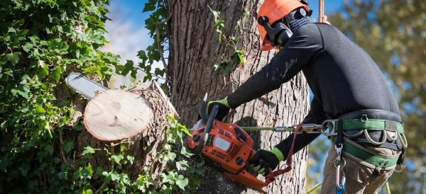 Country View Tree Service