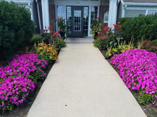 Green Arbor Landscape Contractors