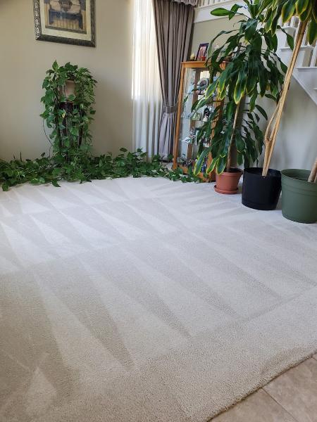 H.L Carpet & Upholstery