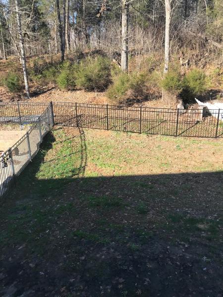 Charlotte Fence