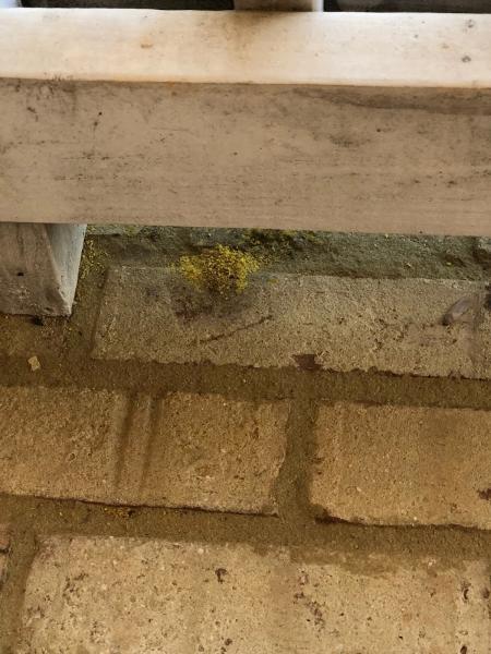 North Fulton Pest Solutions