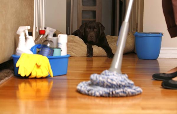 Casella Cleaning Services