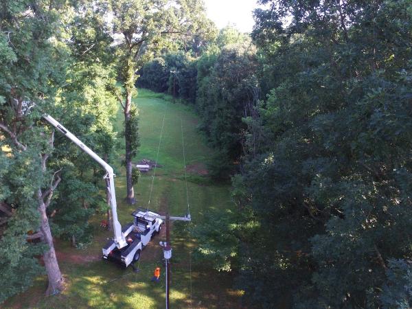 Rockin' W LLC Tree Service
