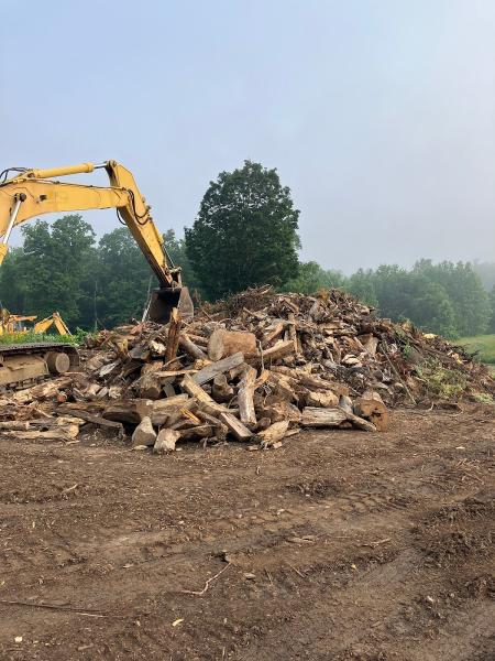 A&A Tree Service