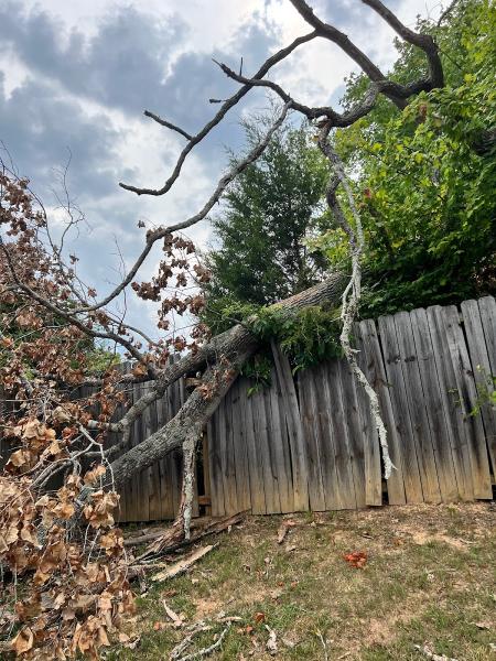 Alter Tree Service Clarksville