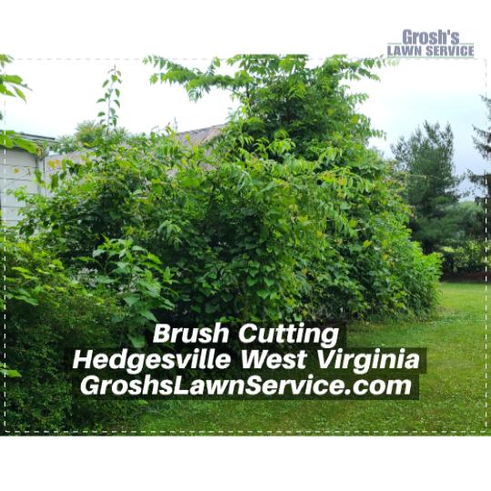 Grosh's Lawn Service