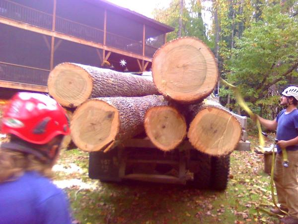 Turning Leaf Tree Service Asheville NC