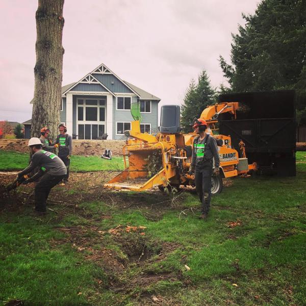 Pacific Tree Management