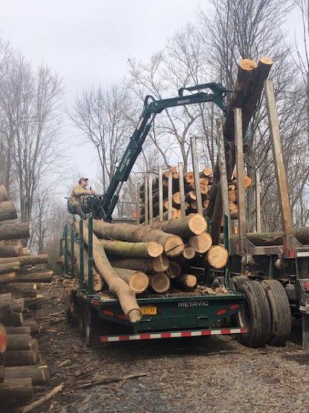 Shute Landscaping Inc