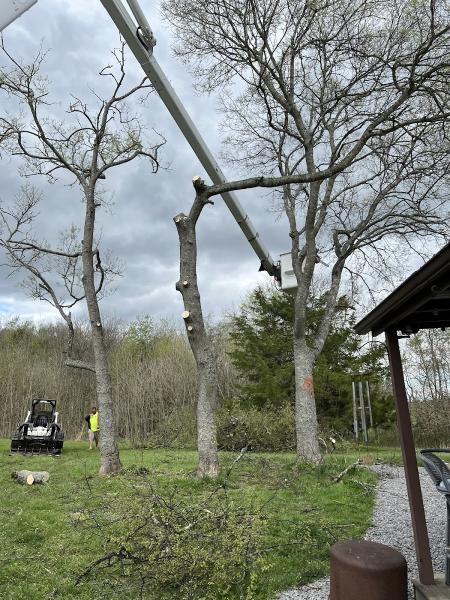 Hughes Tree Service