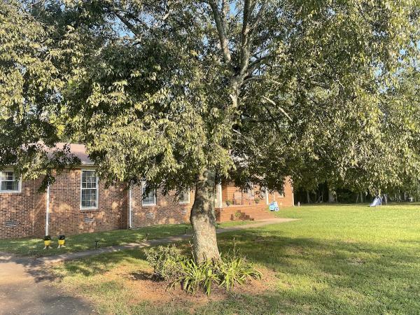 Hughes Tree Service