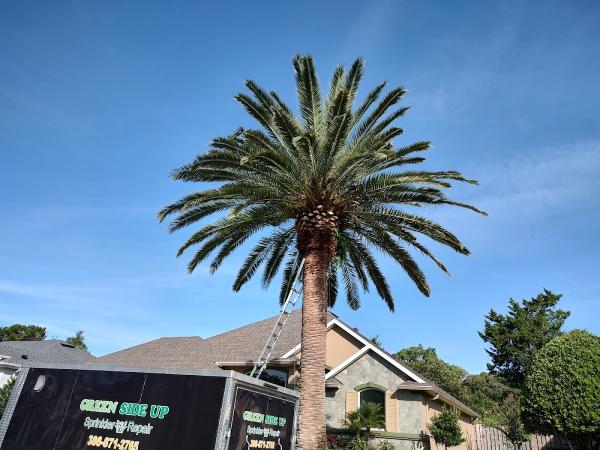 Green Side Up Sprinkler Repair