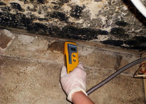 On-Site Mold Analysis