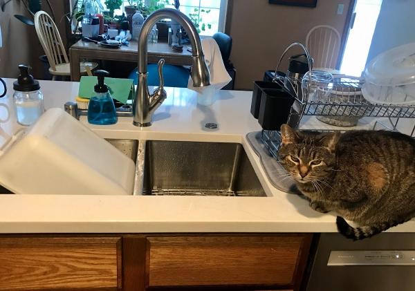Monona Plumbing and Fire Protection