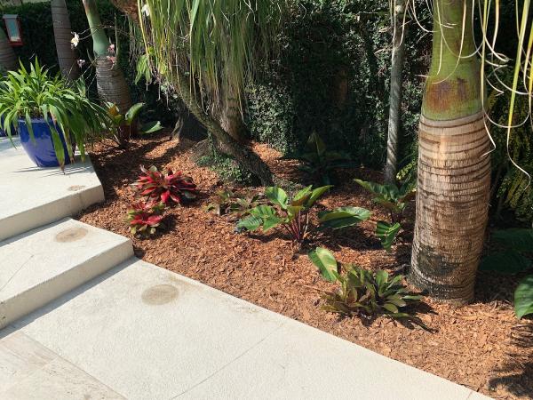 Those Plant Guys