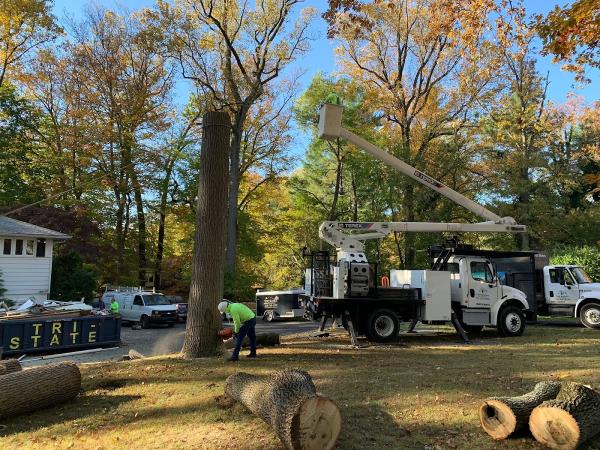 Four Brothers Tree Service Inc.