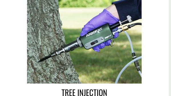 Rozell Tree Care Specialist