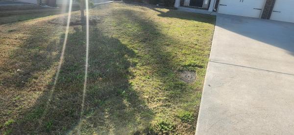 Blue Komodo Lawns AND Landscaping