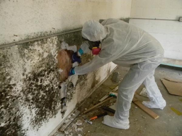Mold