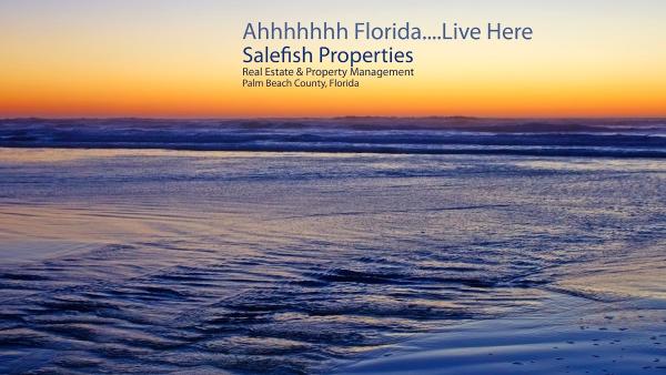 Salefish Properties