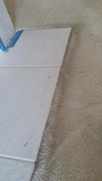 Naturewise Chem-Dry