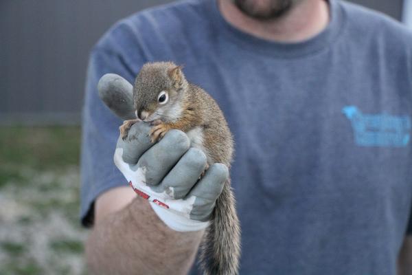 Creature Control LLC