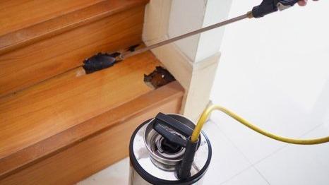 Pest Solutions
