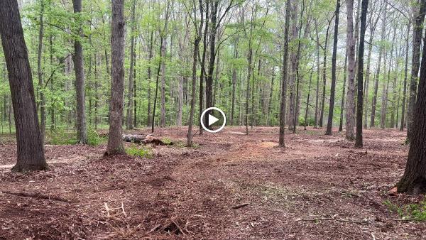 BDS Outdoor Services
