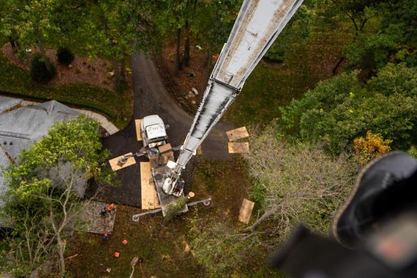 Martin Tree Service