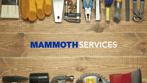 Mammoth Services