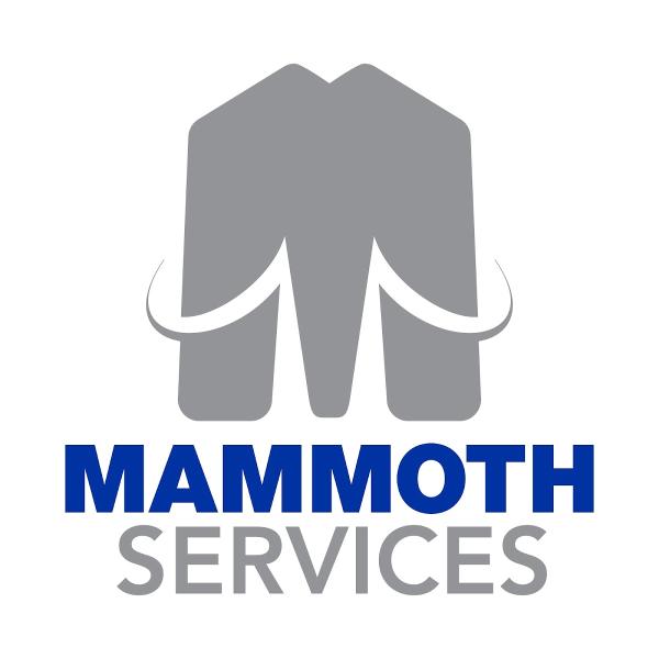 Mammoth Services