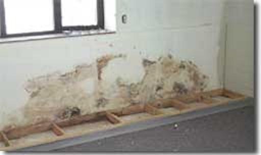 Bee Sure Home Inspection