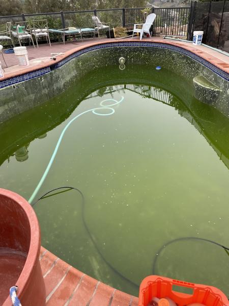 Pool Walkers Cleaning and Services LLC