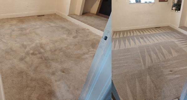 Rad Dad Carpet Cleaning