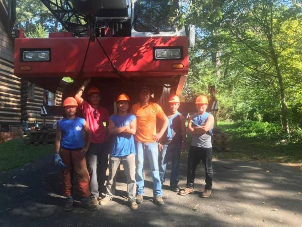 Ludy Tree Care