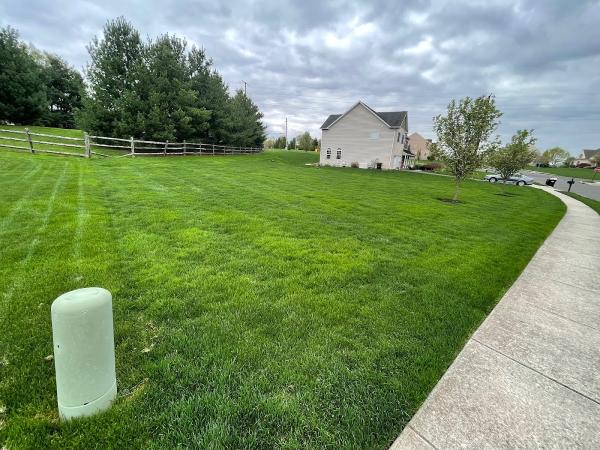 Green Grass Lawncare