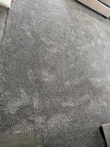 Pro Budget Carpet Cleaning
