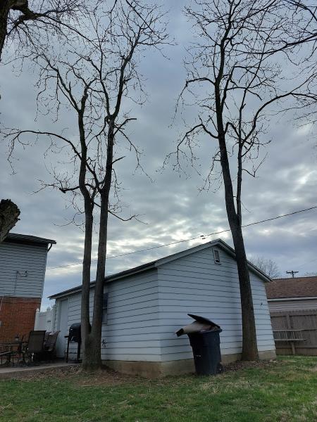 Woodcutters LLC
