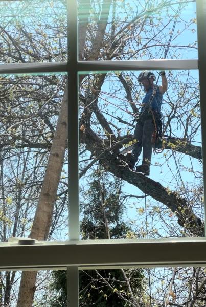 Woodcutters LLC
