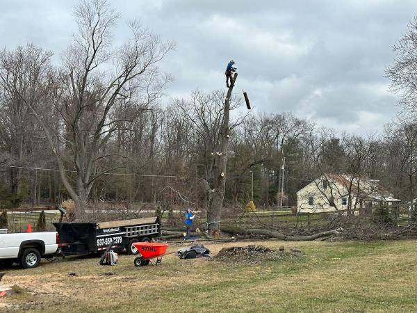 Woodcutters LLC