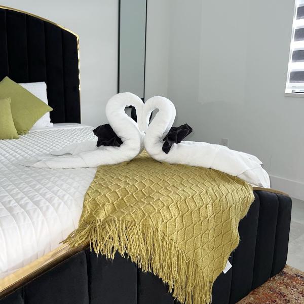 Classy & Clean Co Cleaning Services
