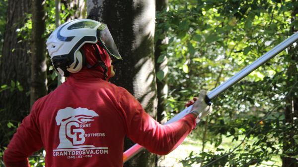Grant Brothers Tree Service