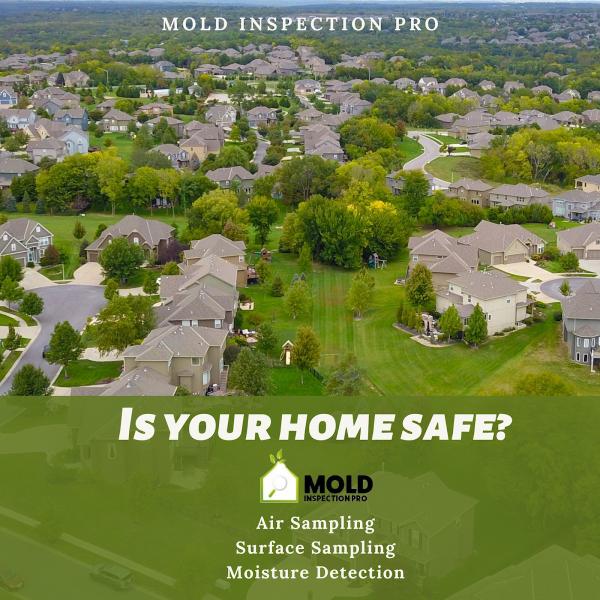 Mold Inspection Pro