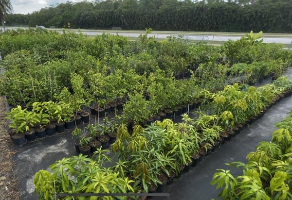 Incredible Edible Landscapes