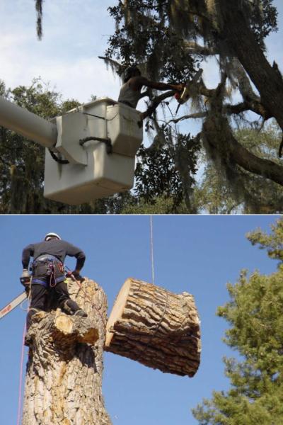Ricks Tree Service Inc
