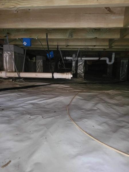 Allpro Pest Management Inc.