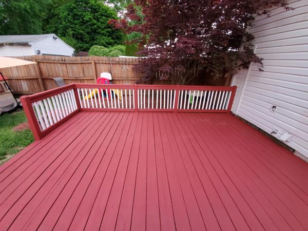 Silverback Roofing